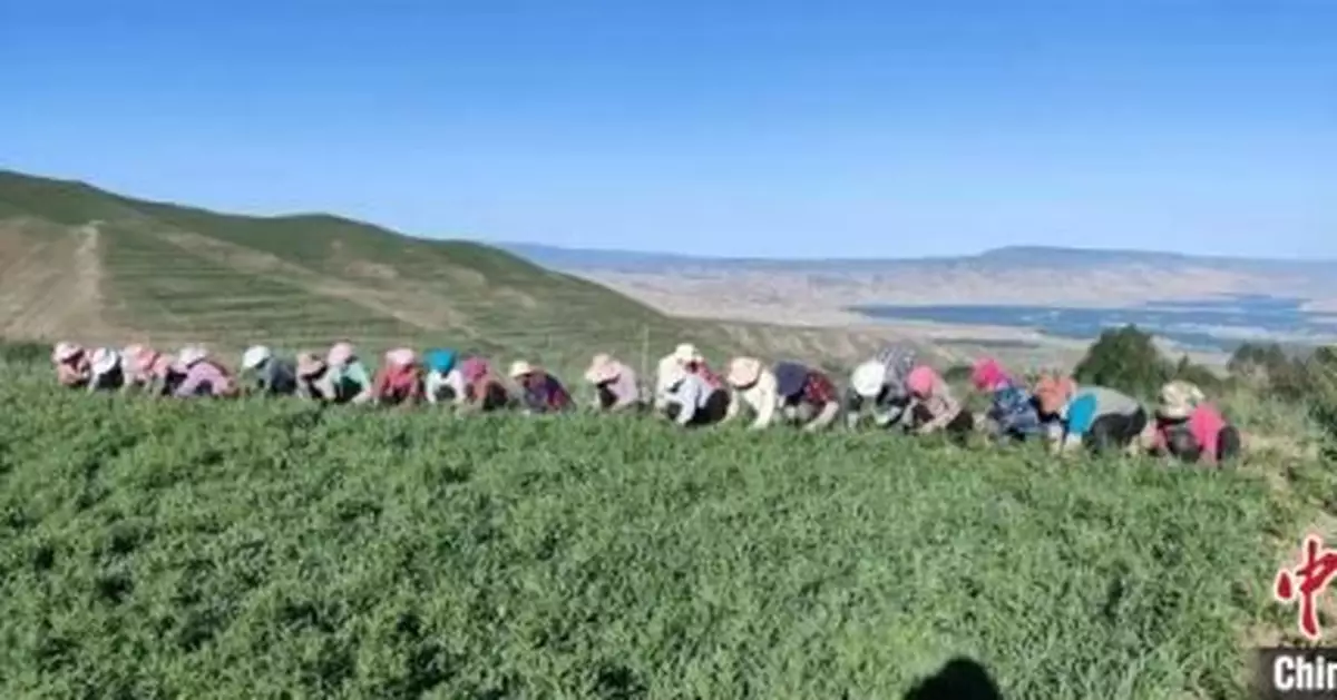 青海貴德：黃河岸畔「空殼村變形記」