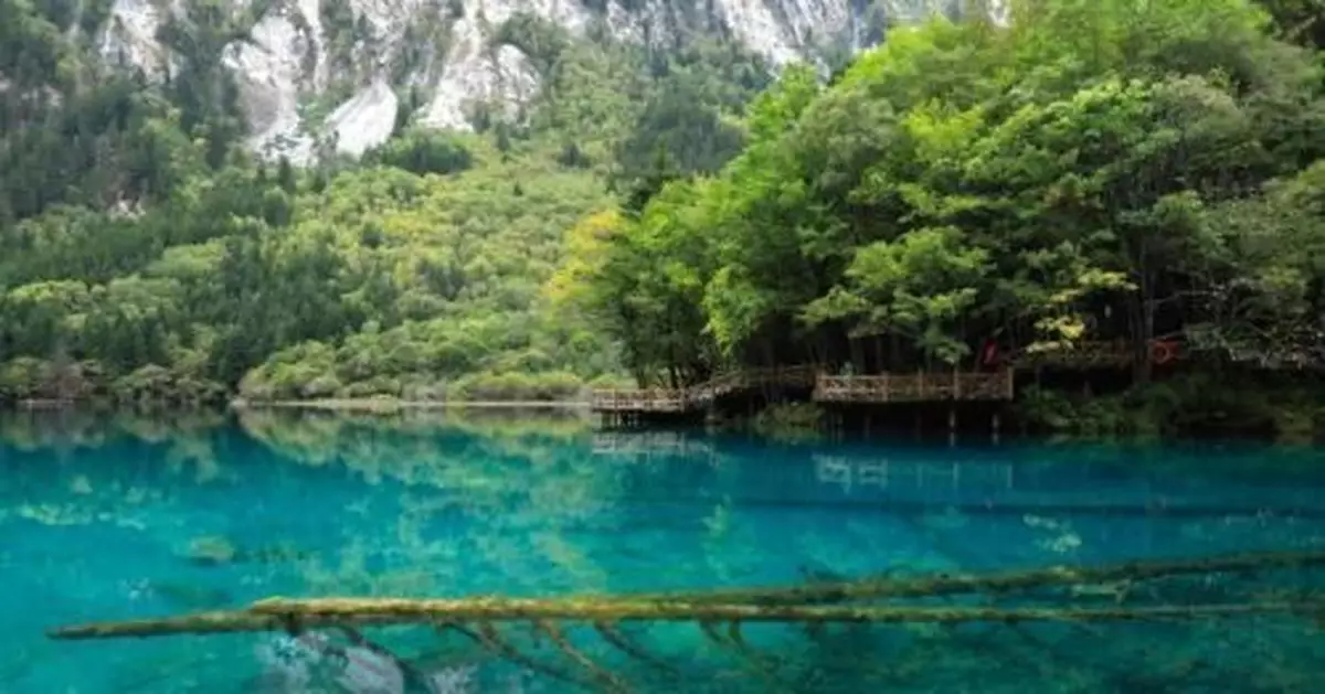 四川九寨溝景區全域恢復開放 每日最大承載量4.1萬人次