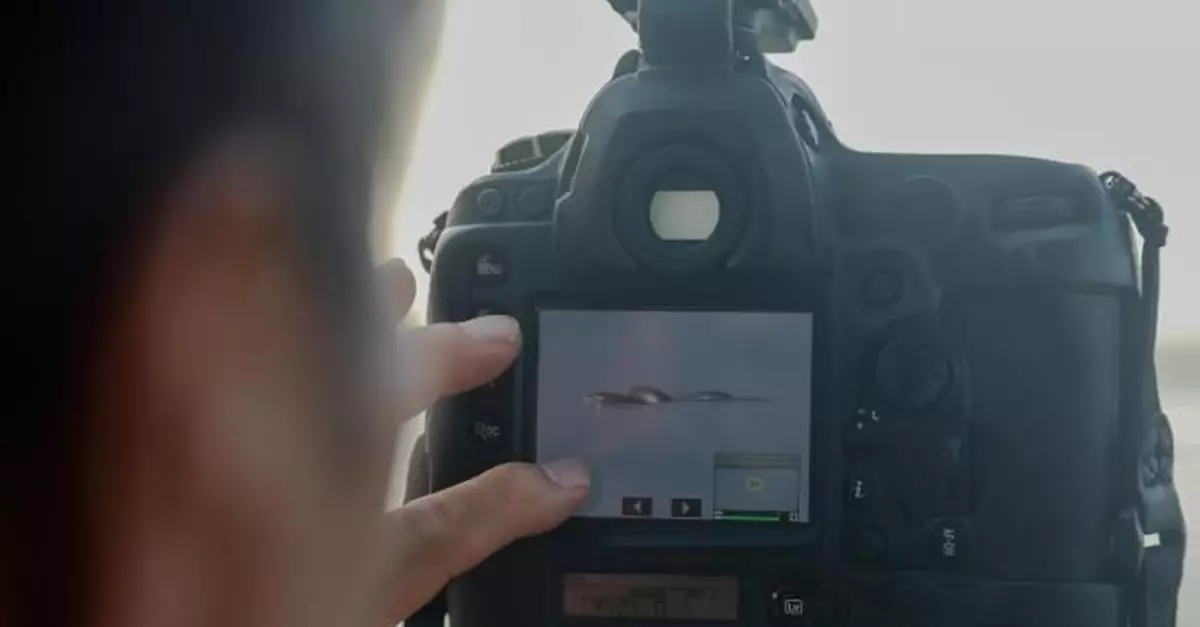 長江江豚頻現江西贛江水域