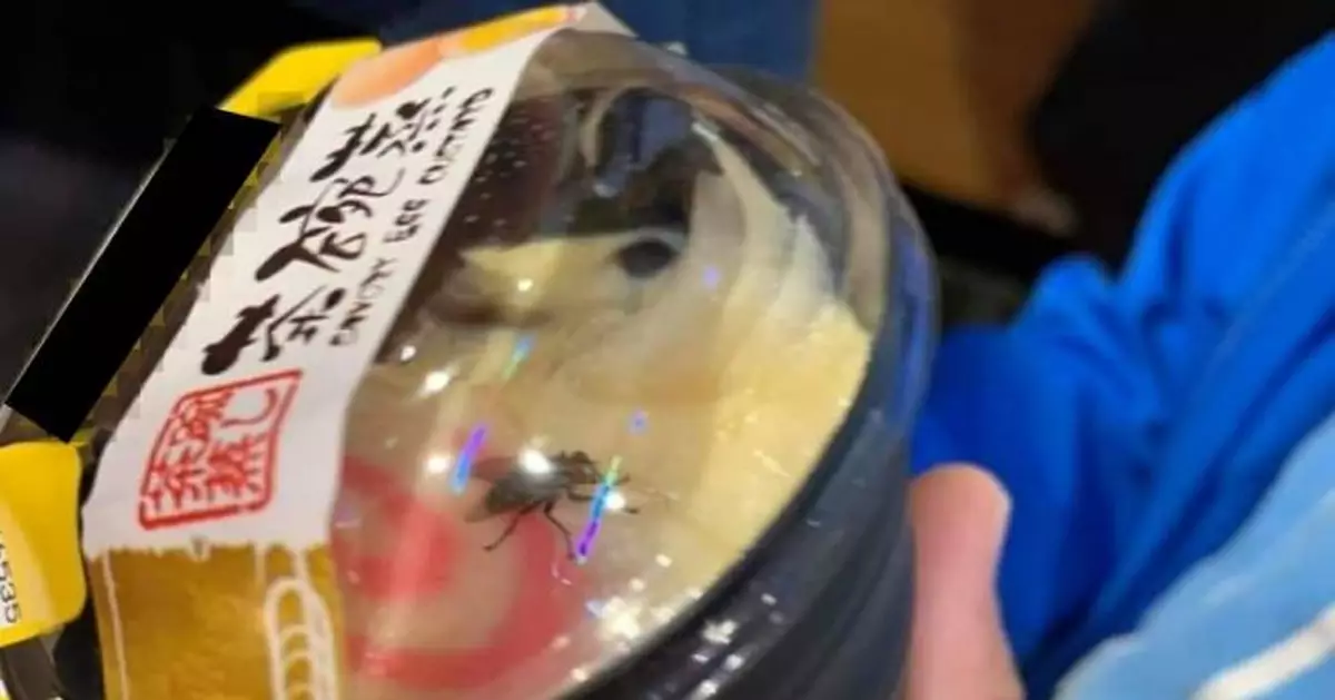 超市茶碗蒸藏生猛蒼蠅 網民笑：極上活體刺身