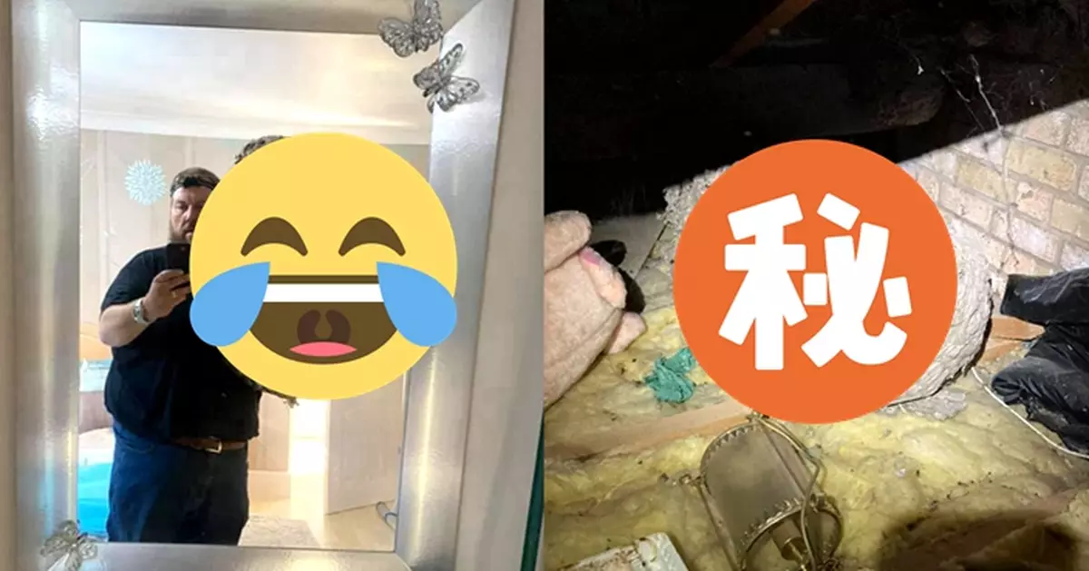 閣樓驚見1米高巨型黃蜂巢 除蟲專家嘆：入行見過最大