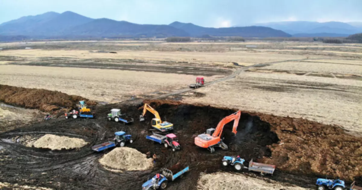 前有「黑風暴」，後有「破皮黃」！不能再拖了！