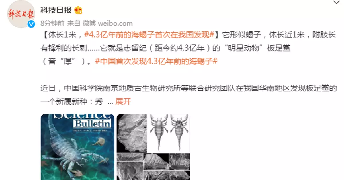 體長1米，我國首次發現4.3億年前的「海蠍子」