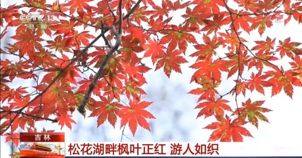 多個旅遊熱門目的地現大客流