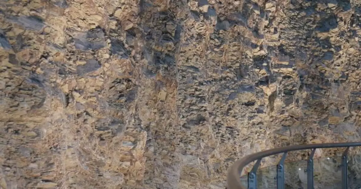 什麼？人類的祖先竟然是……