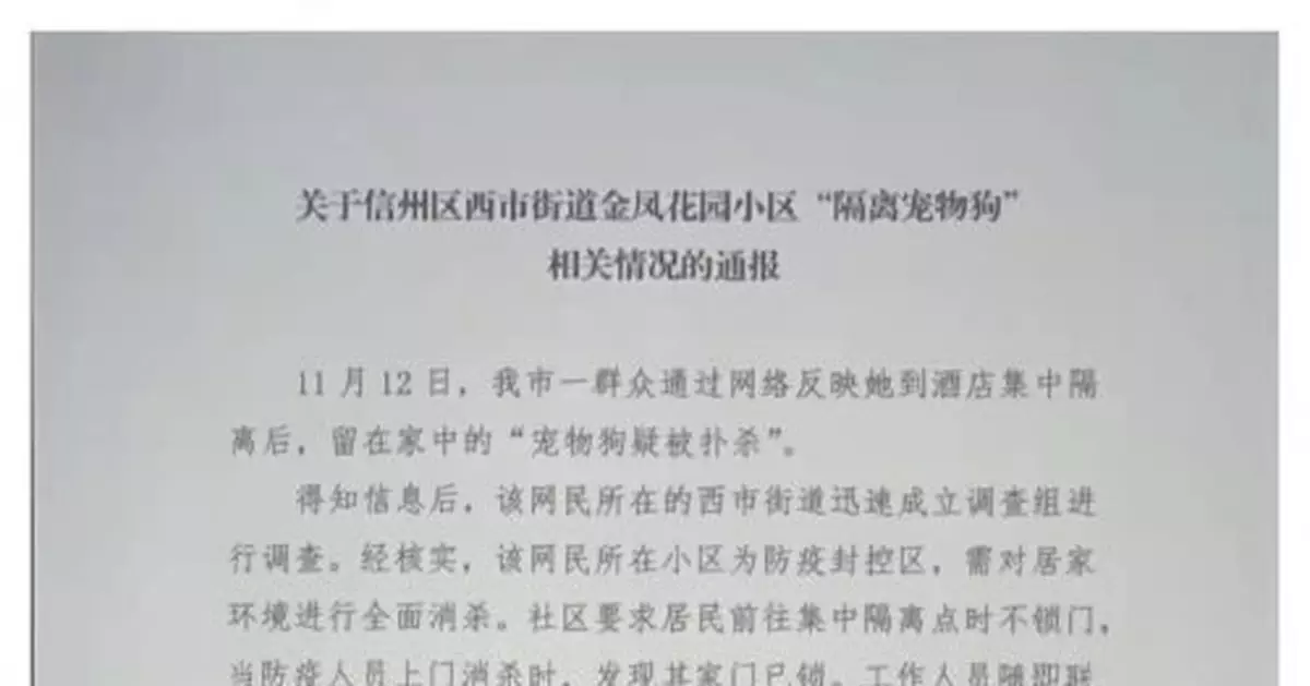 隔離寵物狗疑被撲殺 上饒市信州區回應