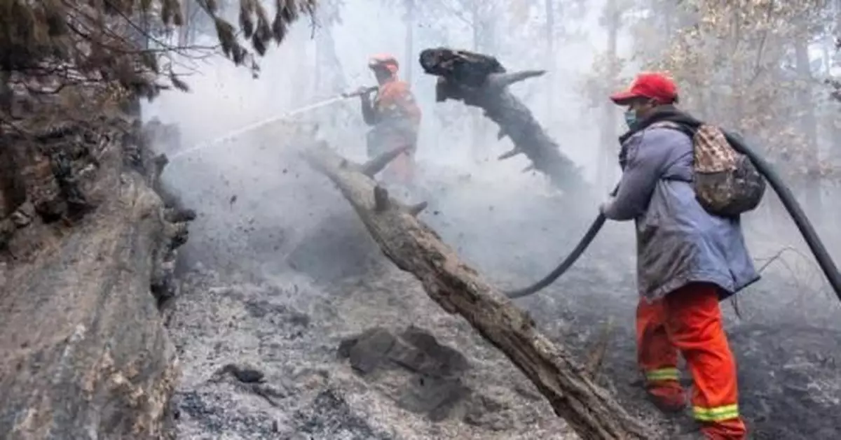 火場淬真金 西藏森林消防總隊成功應對「10.27」察隅山火