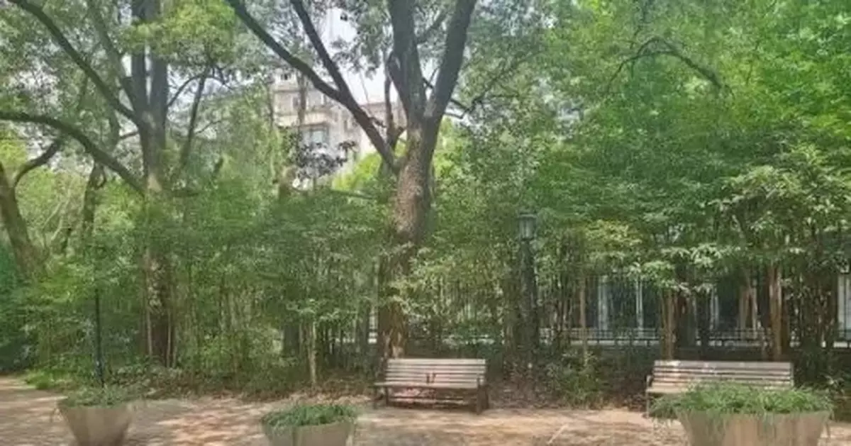 上海知名公園禁止打羽毛球？球友炸鍋了！真相是…