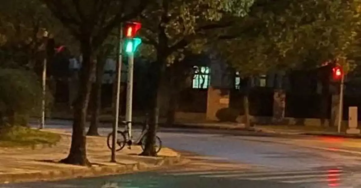 上海市民晨練發現不明生物！