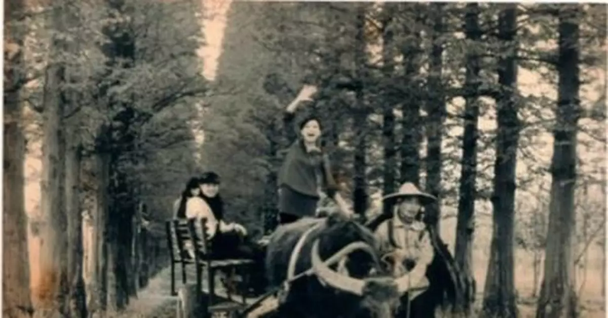 廈門市同安區檔案館老照片