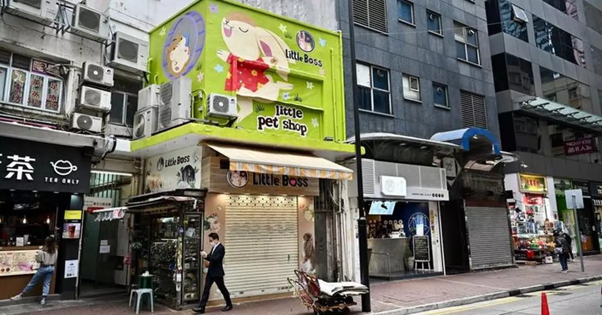 梁肇輝：全港售賣倉鼠寵物店需停業 所有倉鼠將人道處理