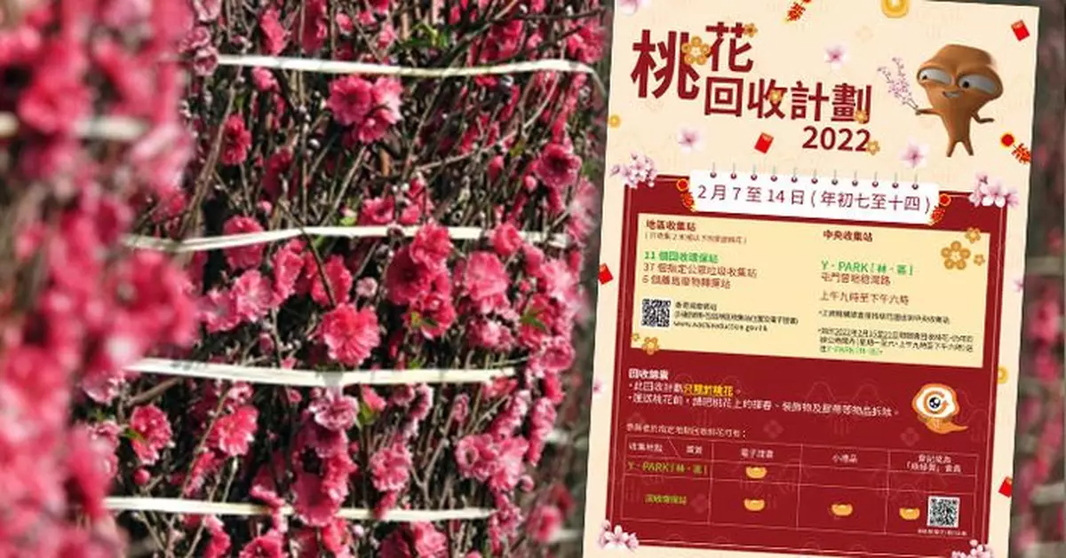 環保署初七起回收桃花 設55個收集點