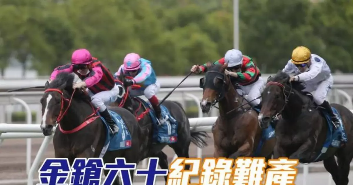 馬場密探048│金鎗六十紀錄難產   夏威夷董事盃爆冷