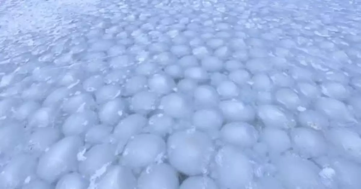 「冰湯圓」奇觀驚現四海湖