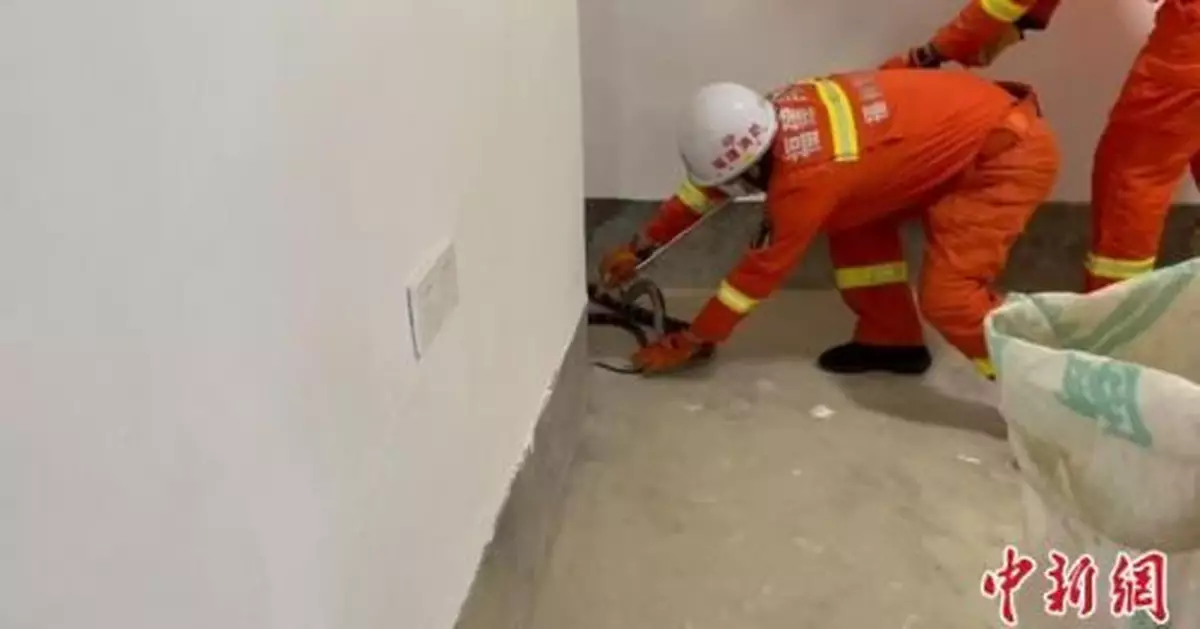 福州永泰：2米長眼鏡王蛇現村民家中 消防捕獲放生