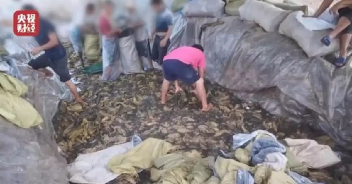 被「3.15」曝光企業！最新回應、進展！你滿意嗎？