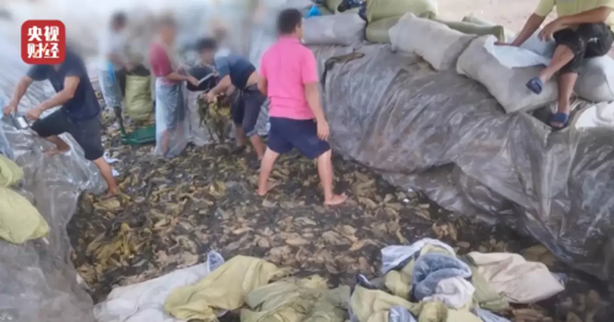 「老坑酸菜」企業相關人員已被控制！