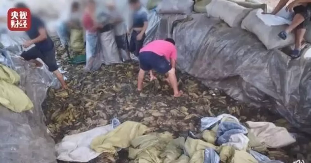 查封、整治、道歉!「老壇酸菜面」能退嗎?記者實測——