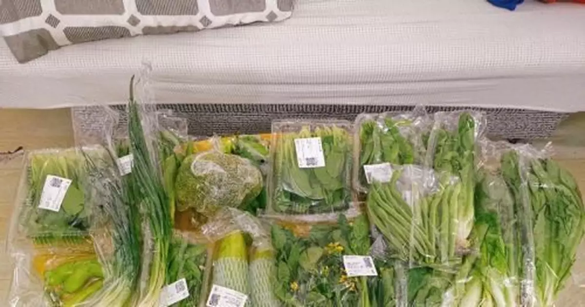 在上沙隔離的28天：鄰居們交換囤貨
