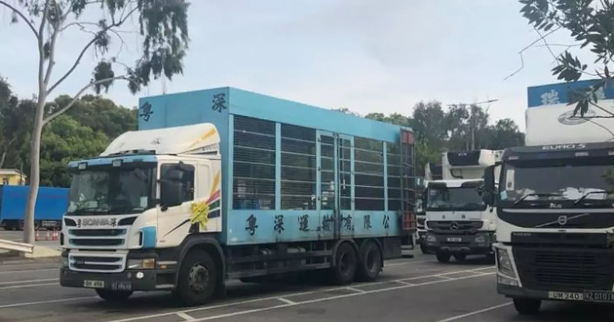 20日起跨境貨車司機改快速核酸檢測 以加強準確性
