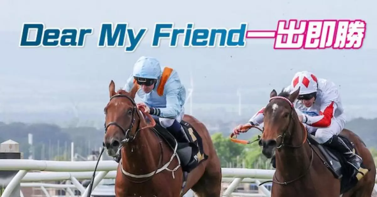 Dear My Friend有望參戰英國兩歲大賽