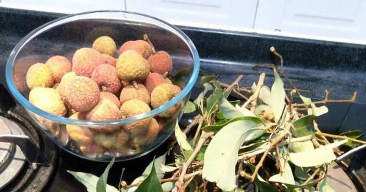 買荔枝要求「走枝」被拒 網民感歎：到底買樹枝定買荔枝？