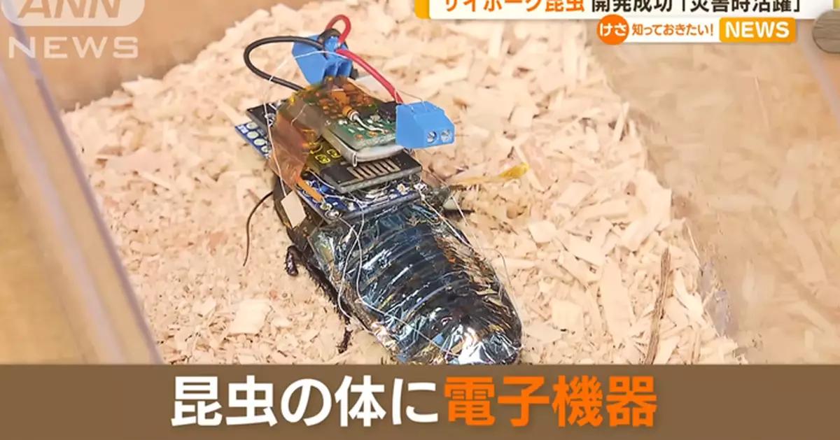 日機構研發「蟲體機械裝置」電擊控制蟑螂行動 望用於救災