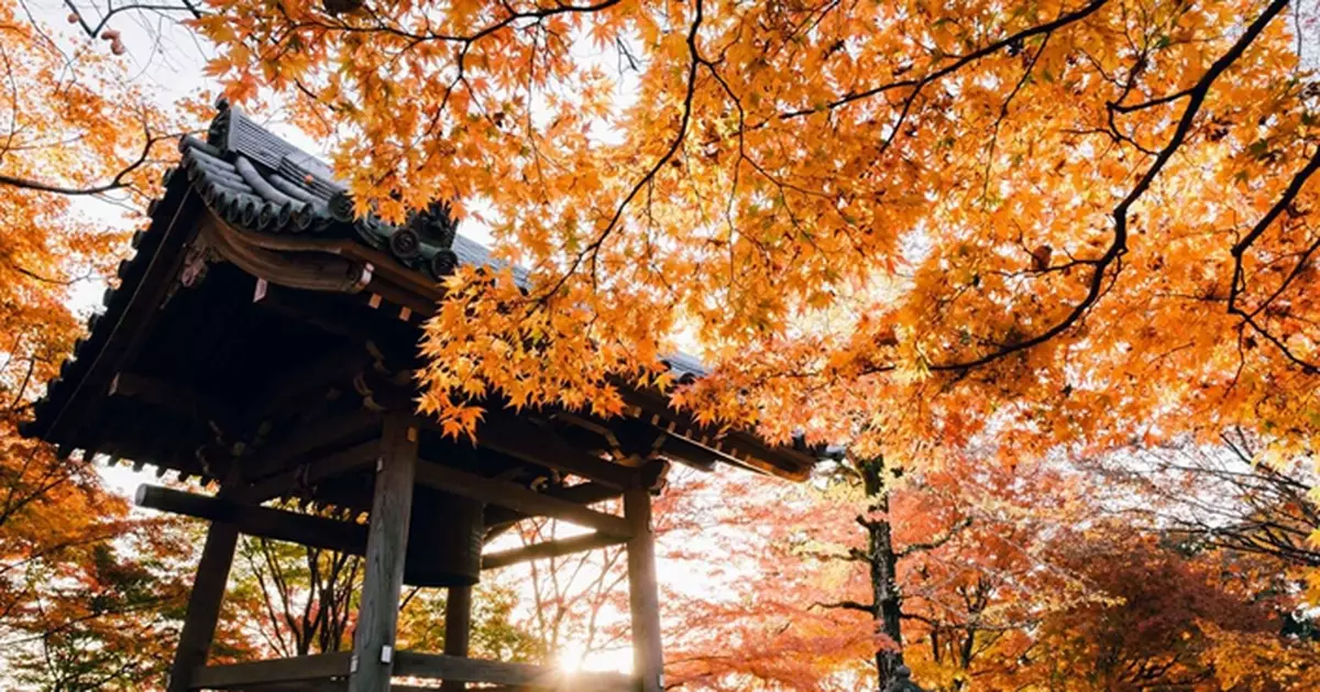 日本自由行京都10大紅葉名所推介 附最佳觀賞期及交通攻略