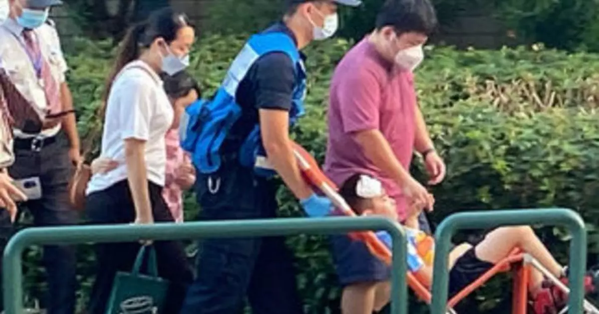 魯莽爸貪刺激出盡力推飛索闖禍 男童撞爆頭浴血送院
