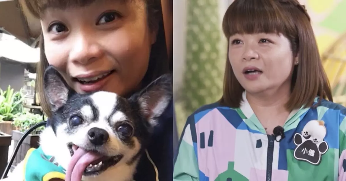 阮小儀眼泛淚光憶述已故愛犬 DeeDee曾險喪命  