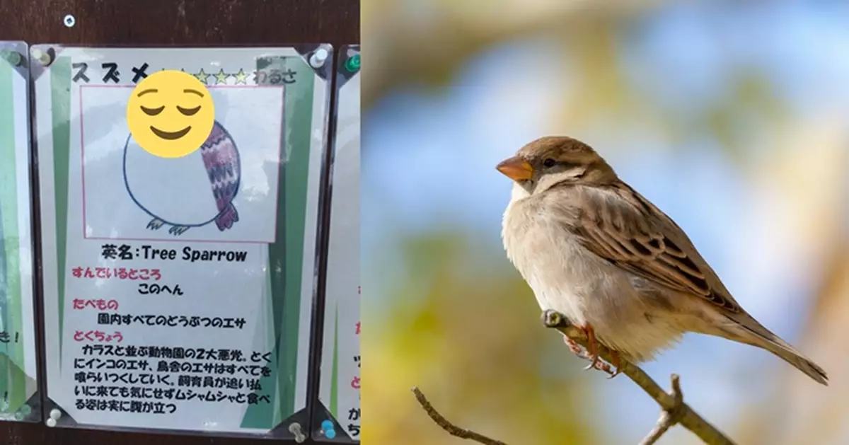 麻雀頻繁偷食 動物園飼養員手繪「得戚嘴臉」控訴惹爆笑