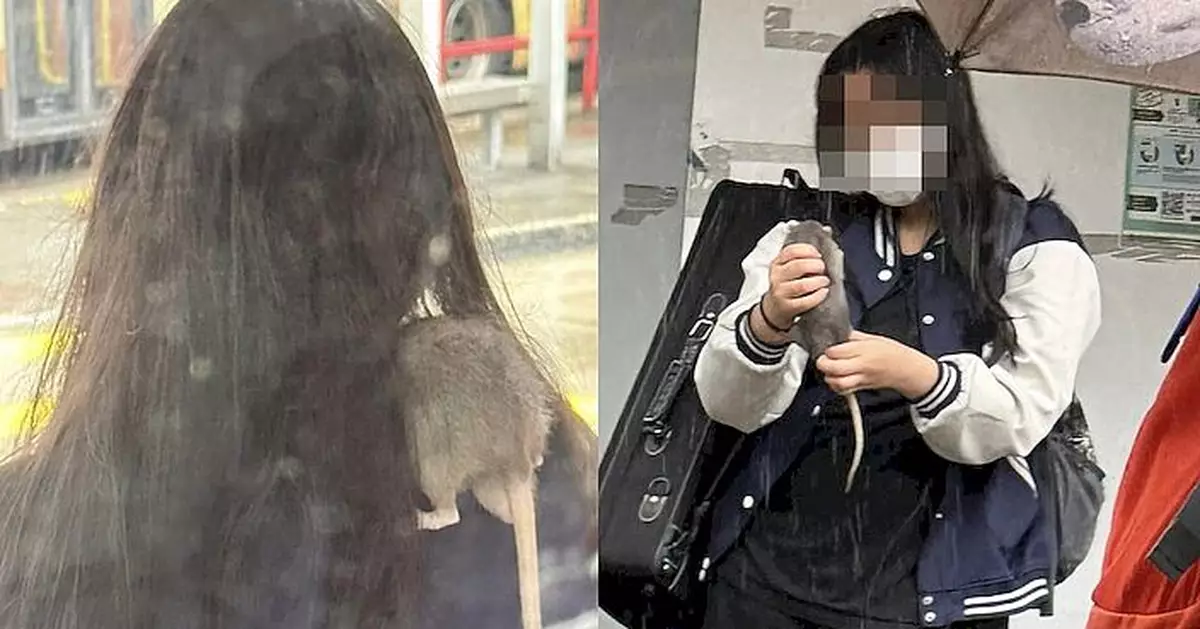 少女帶寵物鼠等巴士 網民側目：無眼睇