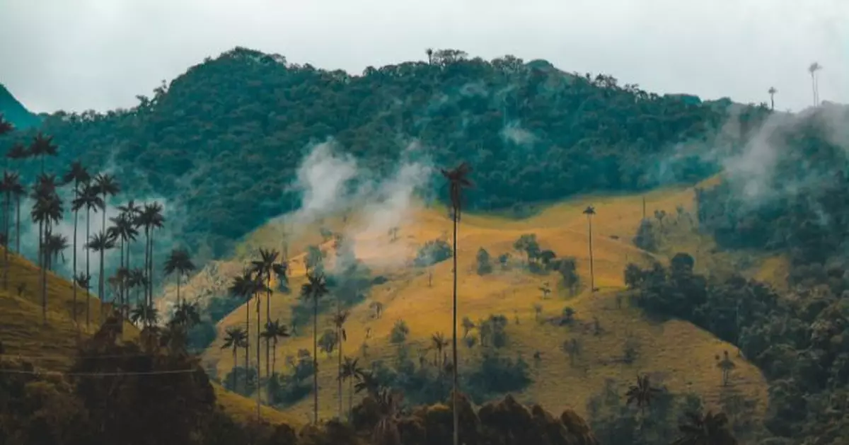 哥倫比亞飛機失事逾2周 4童熱帶雨林中奇蹟獲救