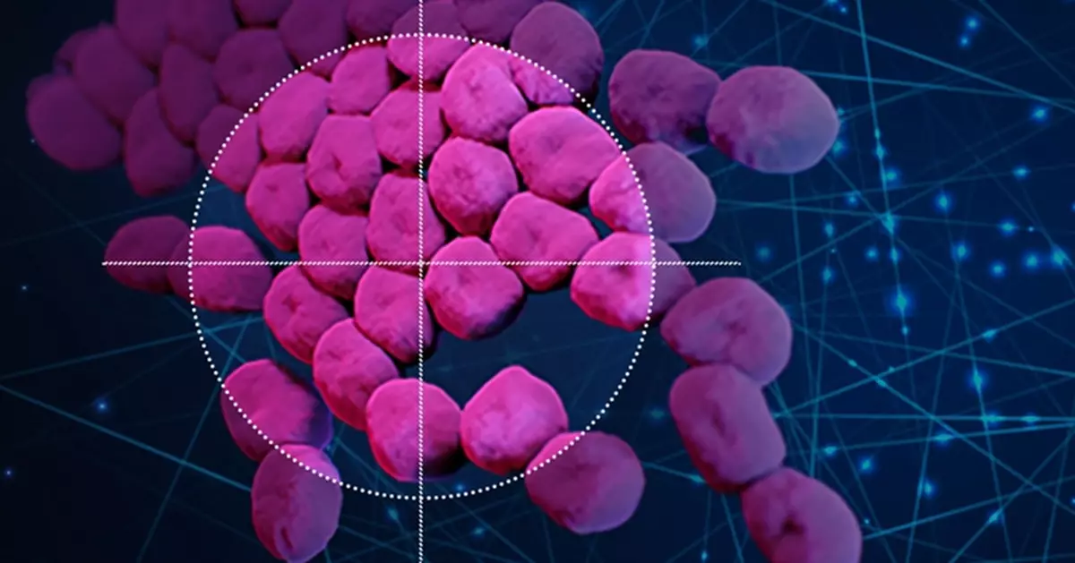 藉AI發現全新抗生素 科學家指可對付致命超級細菌