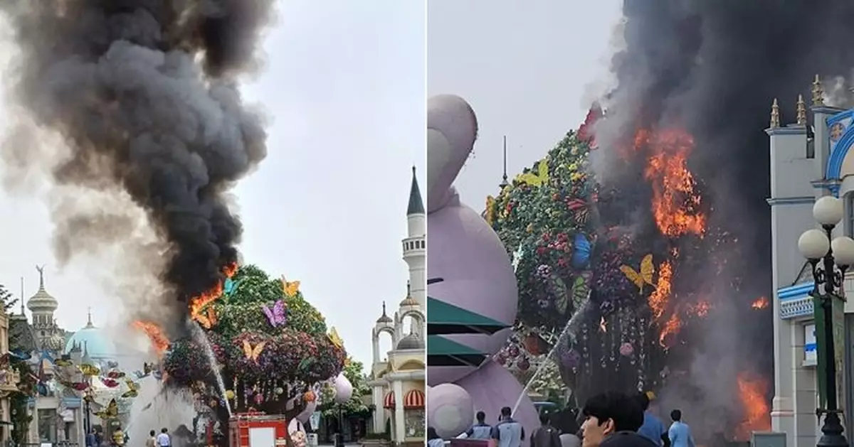 網傳南韓愛寶樂園火警 地標魔法樹半邊被火焰吞噬