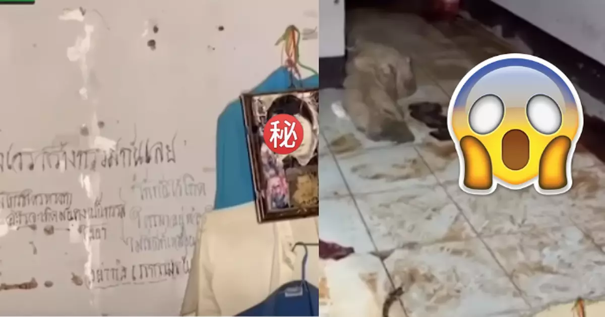 慎入！屋內傳惡臭揭老翁暴斃家中 警翻其日記嚇窒