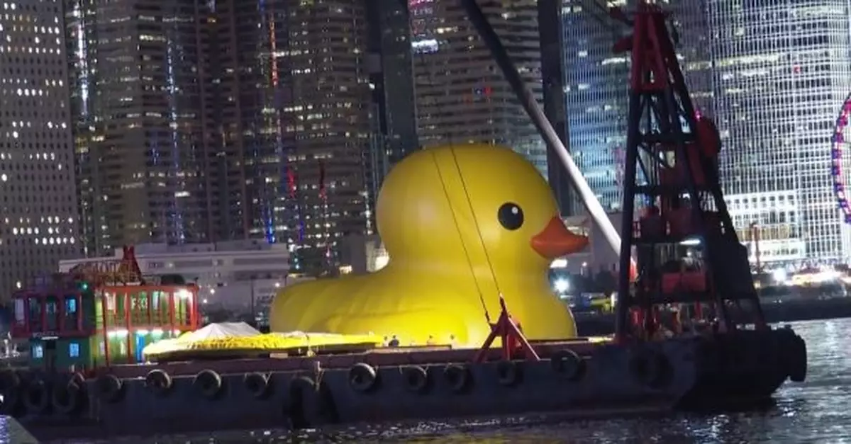 主辦單位晚上先在灣仔會展外海面，為兩隻巨型黃色橡皮鴨展品充氣。（梁禎祥攝）