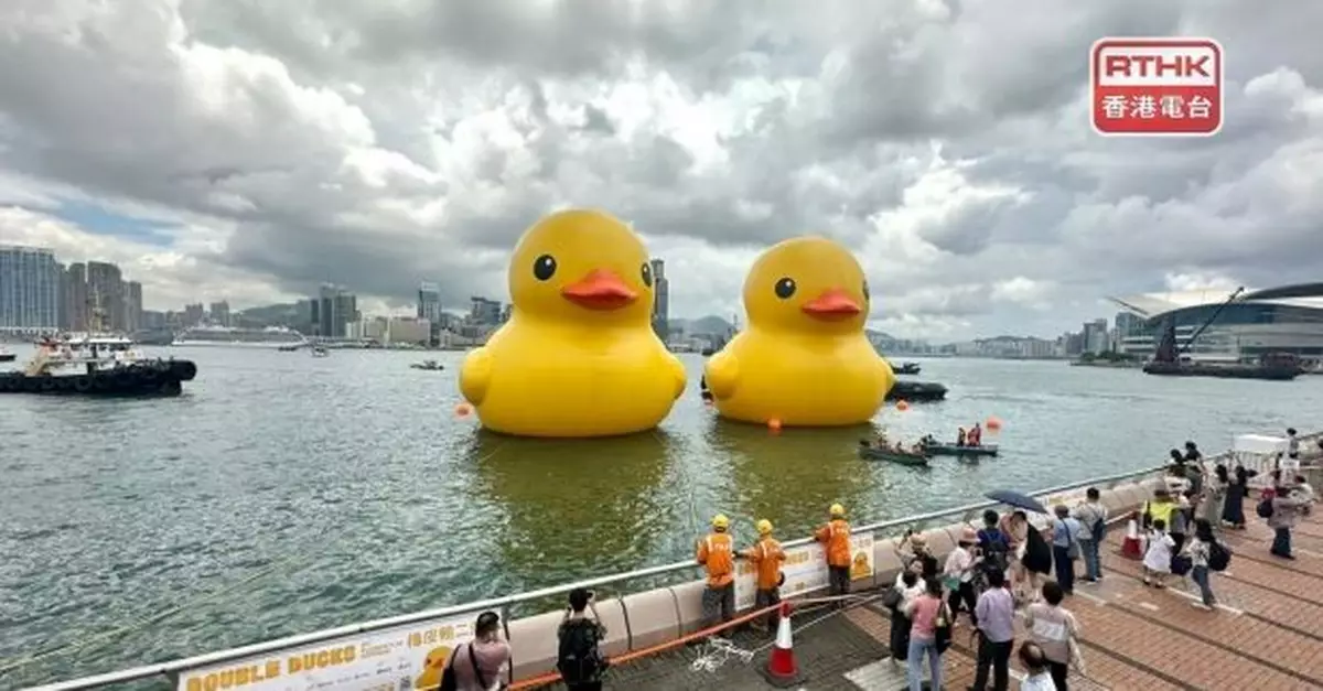巨型黃色橡皮鴨重臨　創作者冀為香港帶來雙重幸運