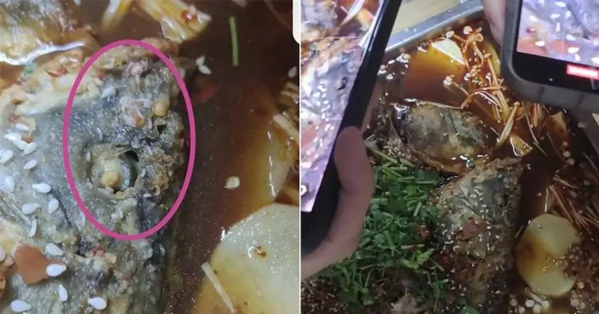 河南高校食堂烤魚出現蛆蟲 涉事餐廳停業整改被立案查處
