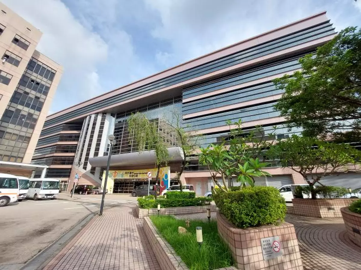 風暴樺加沙 | 62人風暴期間受傷 共437宗塌樹報告