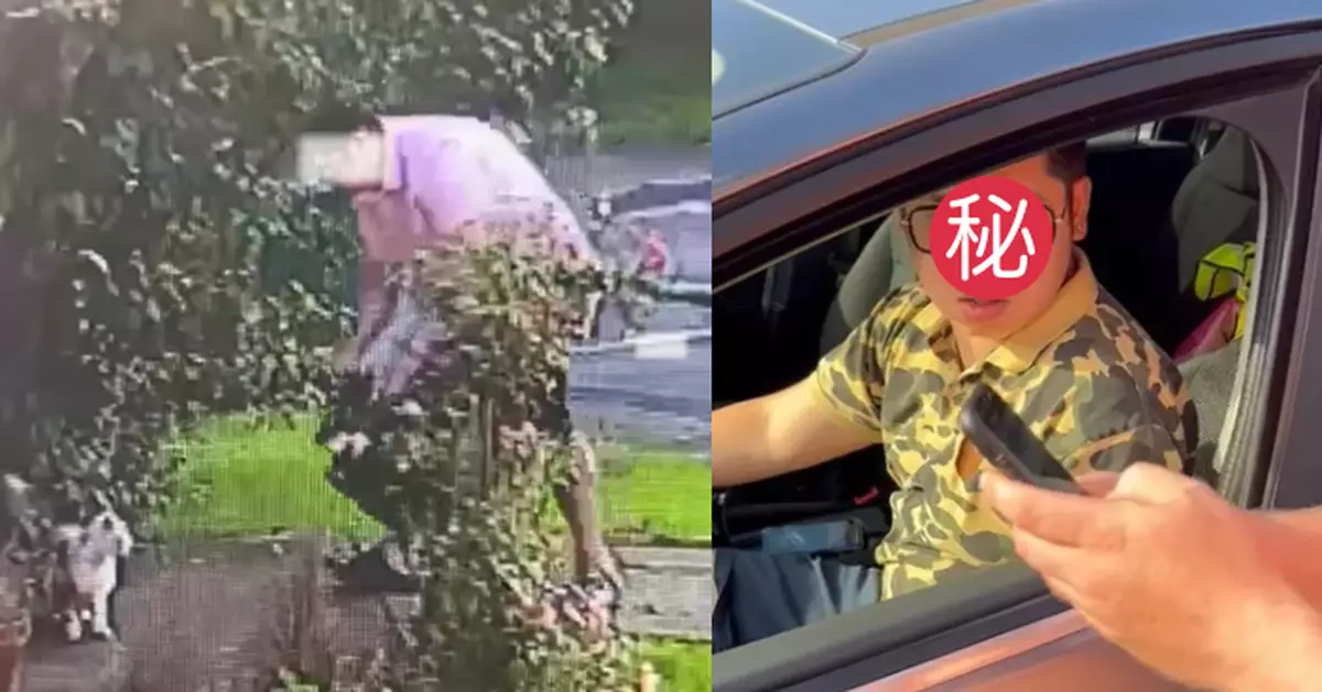 移英港男企圖偷鄰居貓咪被CCTV錄影斷正 遭炒魷兼被捕