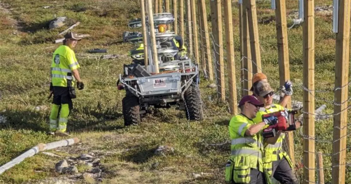 馴鹿「入侵」俄國須付高額賠償費 挪威修建欄柵減損失