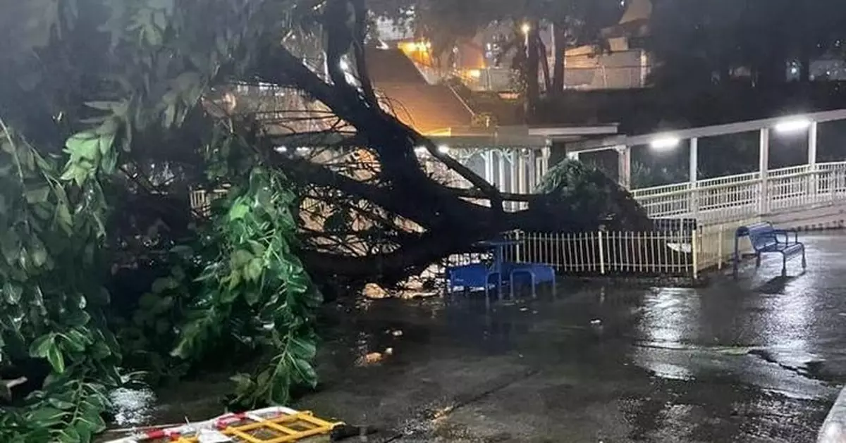 颱風蘇拉 | 至早上6時 共有76宗塌樹及12宗水浸報告