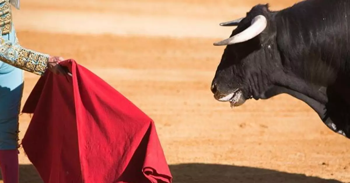 兩名6旬男子參加西班牙奔牛節 慘遭公牛衝頂1死1傷