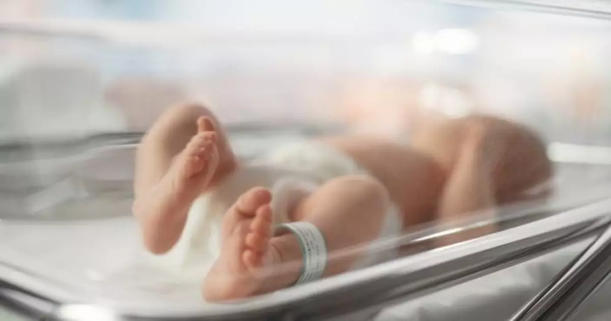 政府逾22億元推新生嬰兒獎勵 最快下月起發放