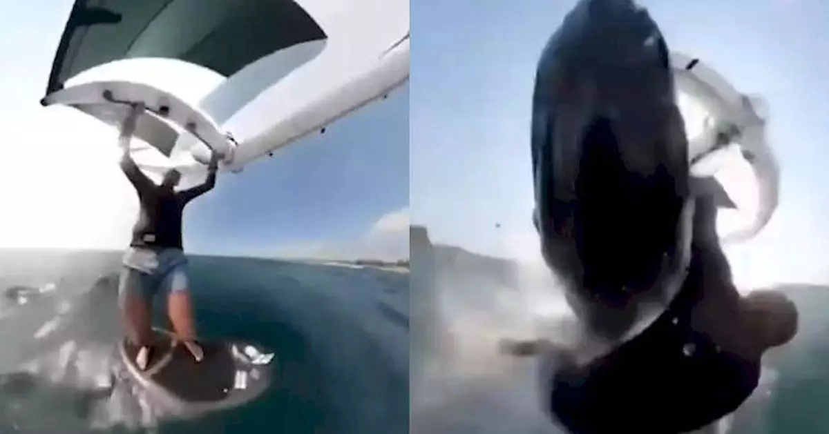 澳洲滑浪男遭跳起鯨魚撞擊拖入深海 GoPro記錄恐怖瞬間