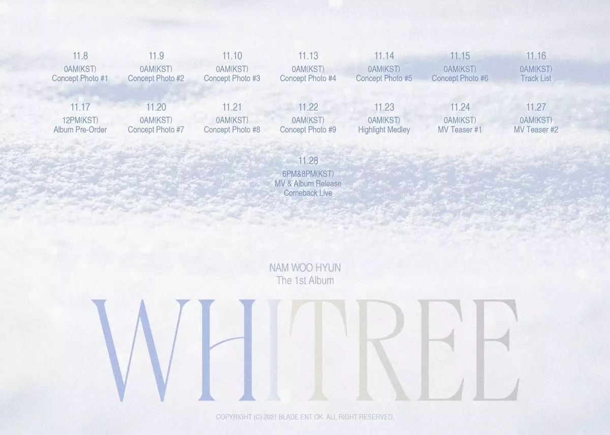 適合冬天聽的南優賢首張正規專輯《WHITREE》（南優賢Twitter圖片）
