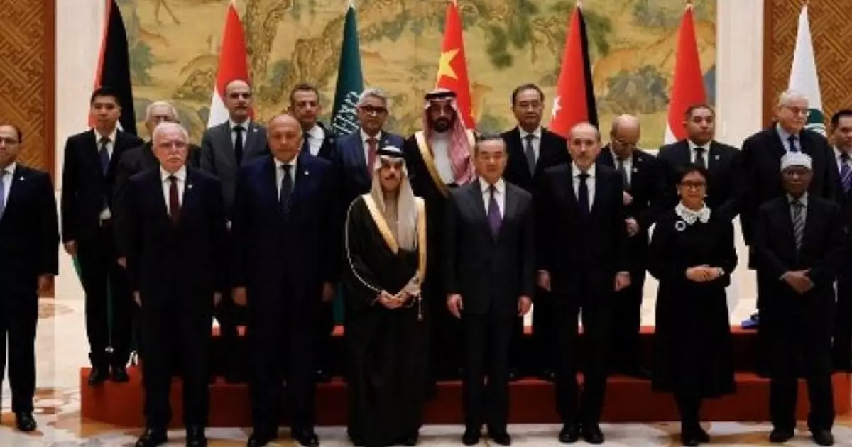 王毅晤阿拉伯和伊斯蘭國家外長聯合代表團