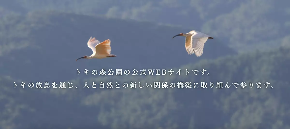新潟縣佐渡朱鷺保護中心公園網站截圖