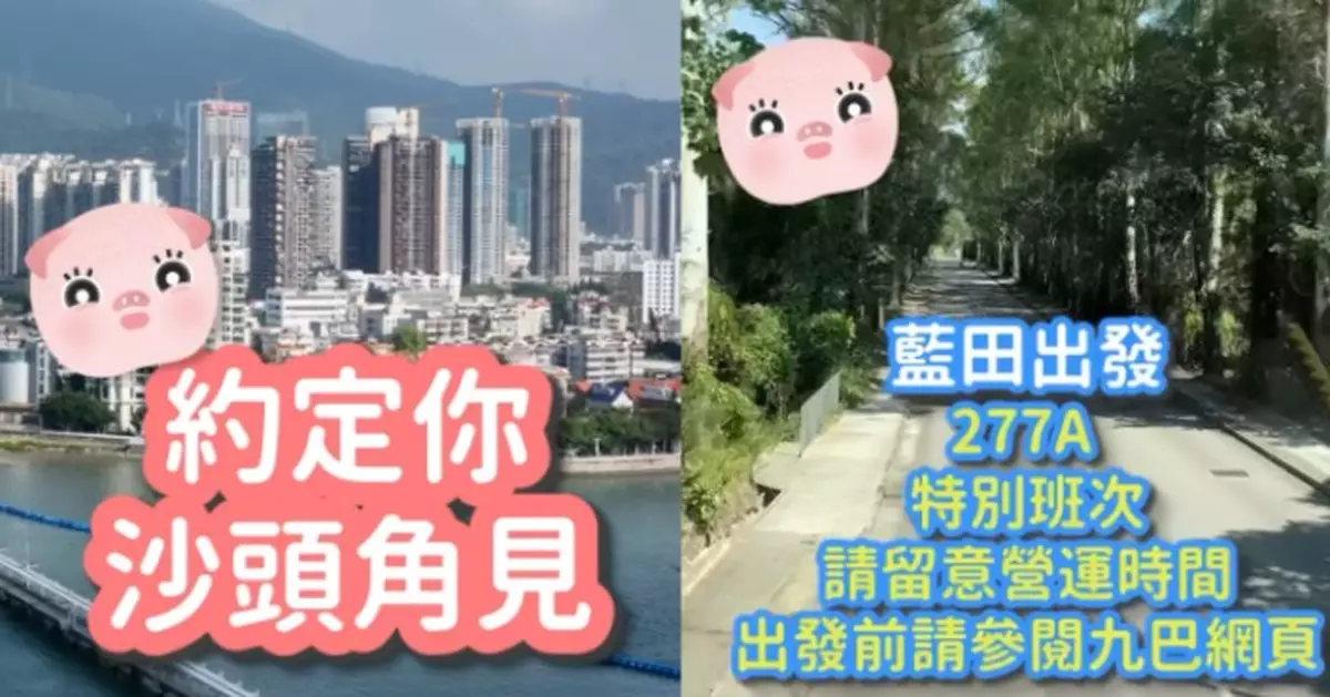 沙頭角公共交通攻略馬上睇 保安局「豚豚」醒你4條至易路線